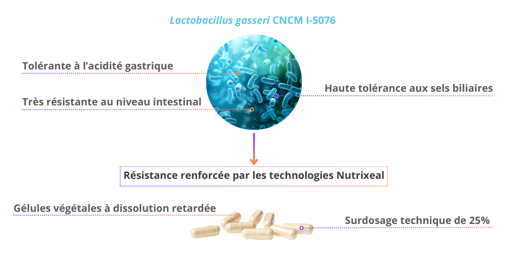 Lactobacillus gasseri BIO